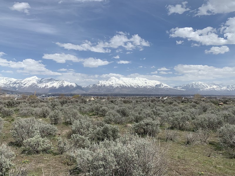 Harvest Hills Nature Park photo 2