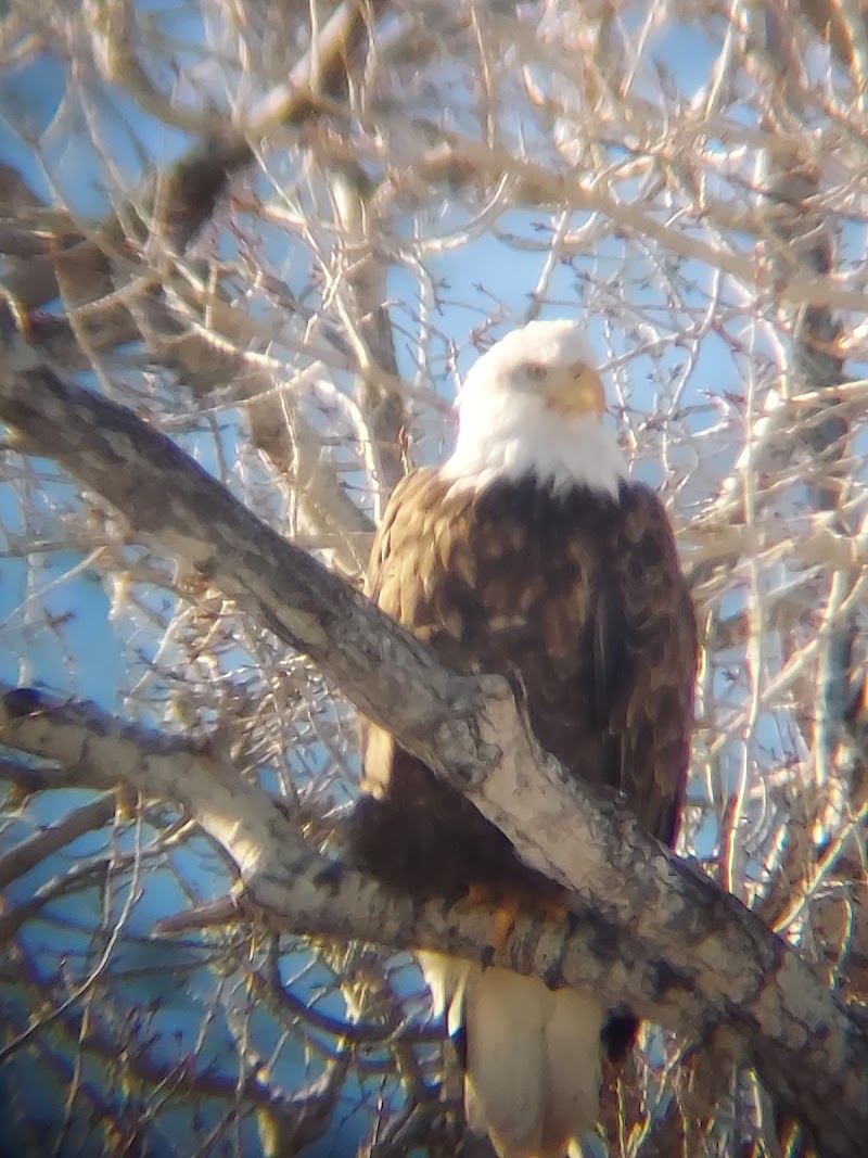 Henefer Pioneer Park photo 3