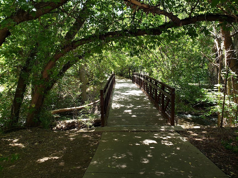 Hidden Hollow photo 3