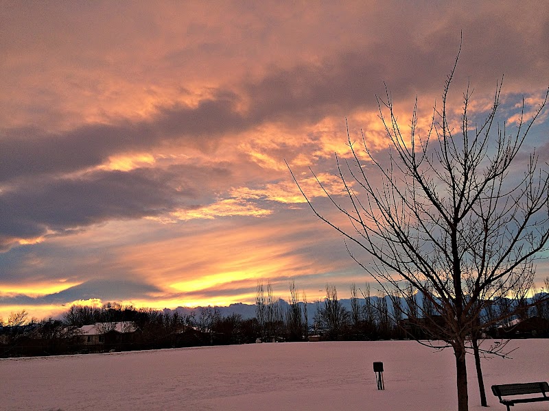 Honeybee Park photo 3