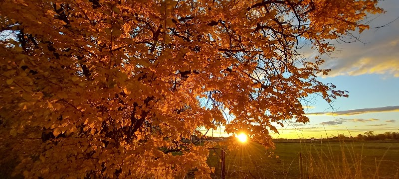 Hooper Landings Park