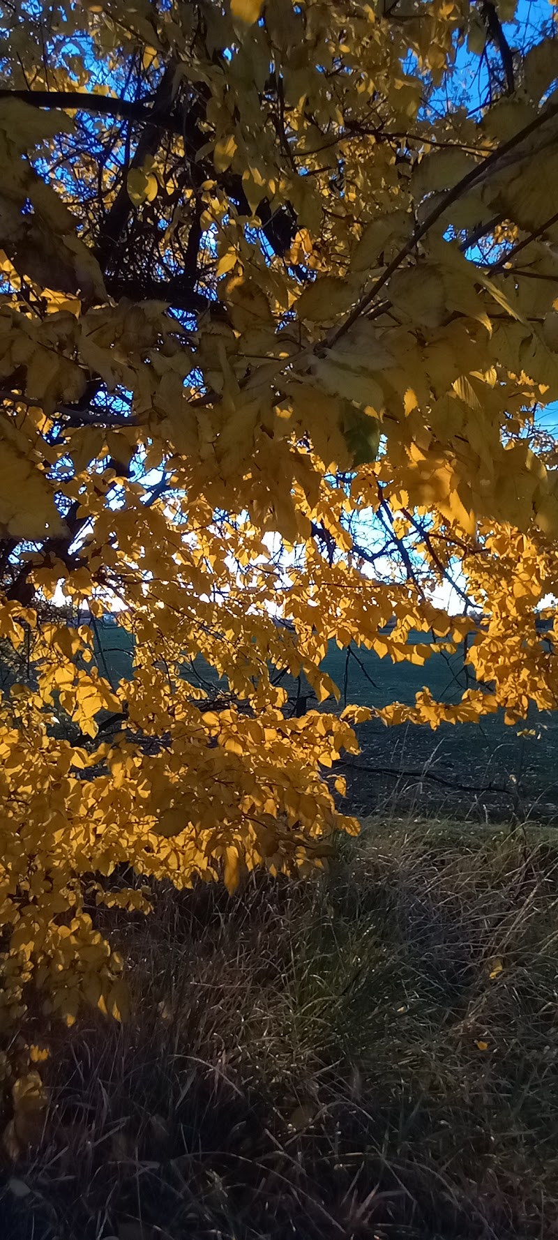 Hooper Landings Park photo 3