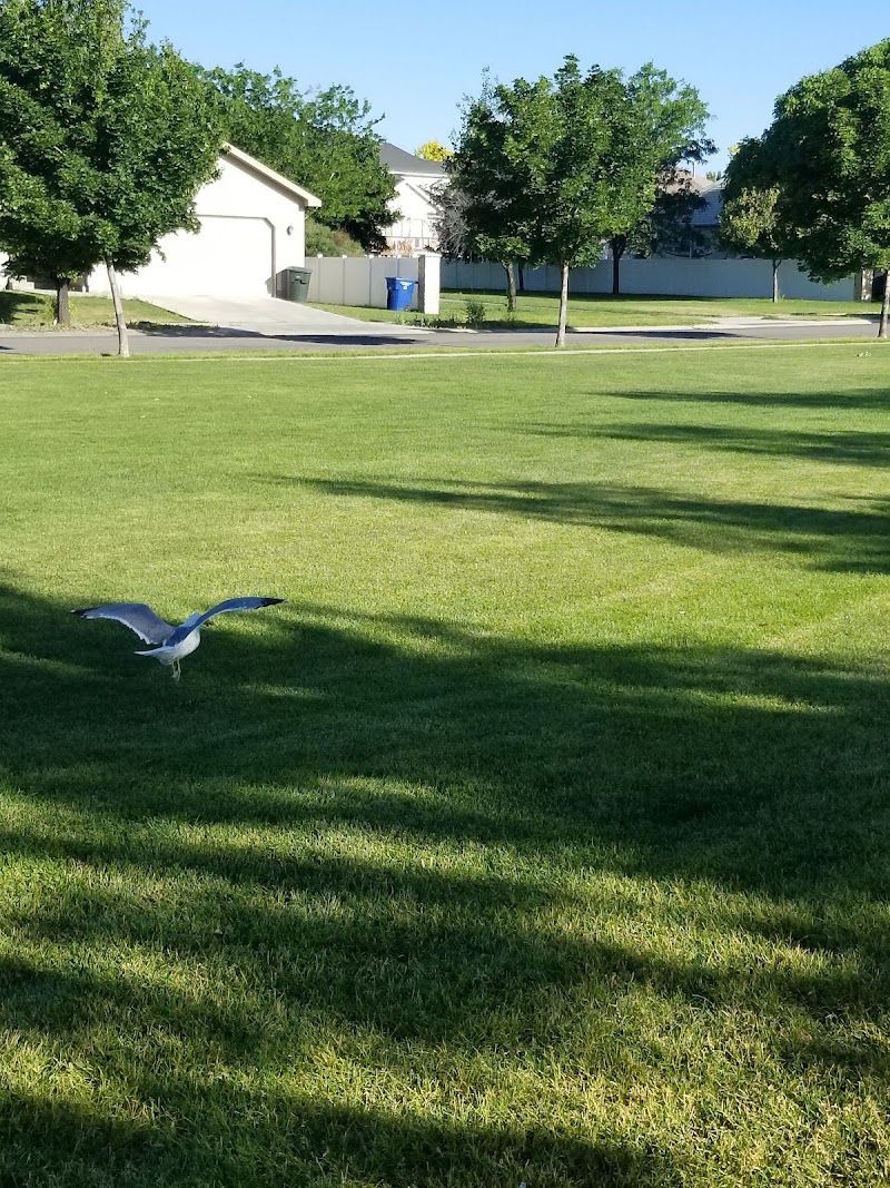 Hunter Village Park photo 3