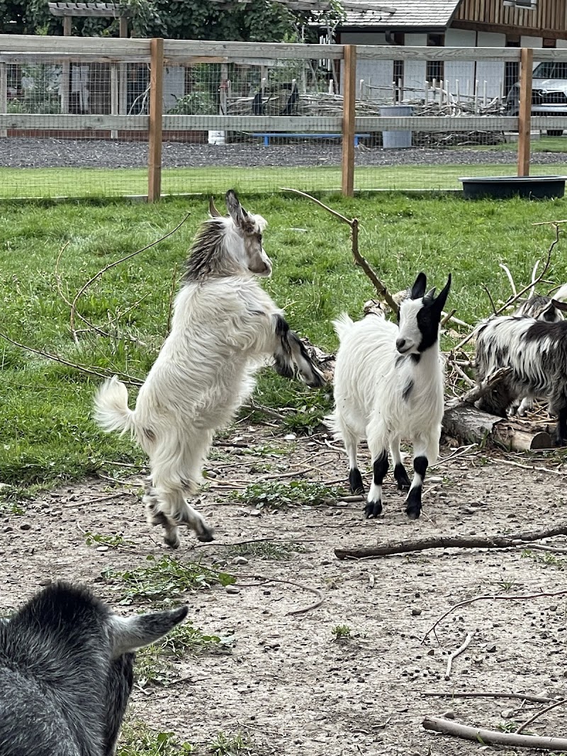 Jordan River Parkway Crossing