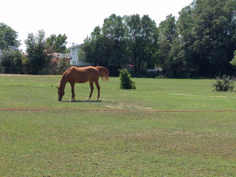 Joseph D. Adams Memorial Park photo 3