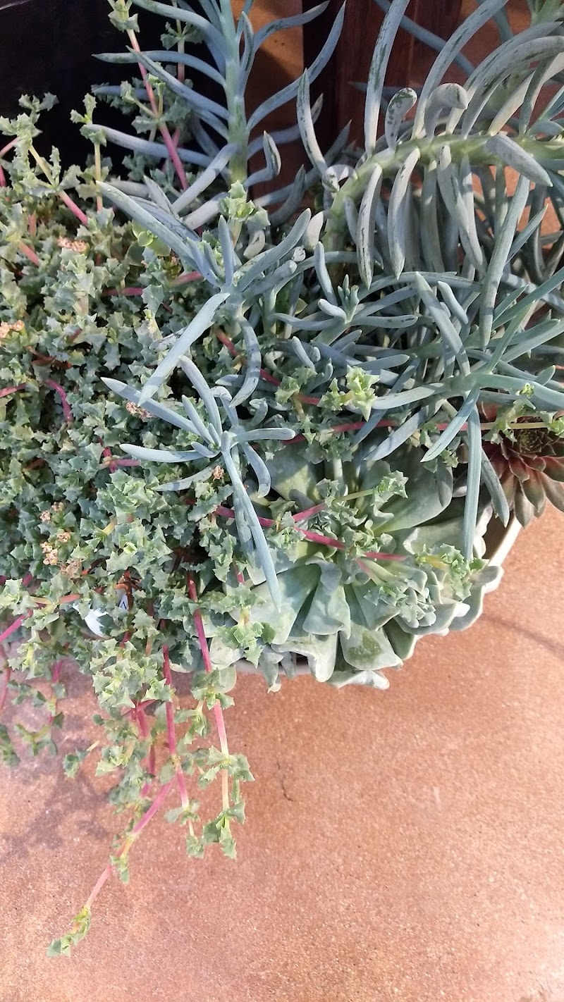 Kestrel Park photo 3