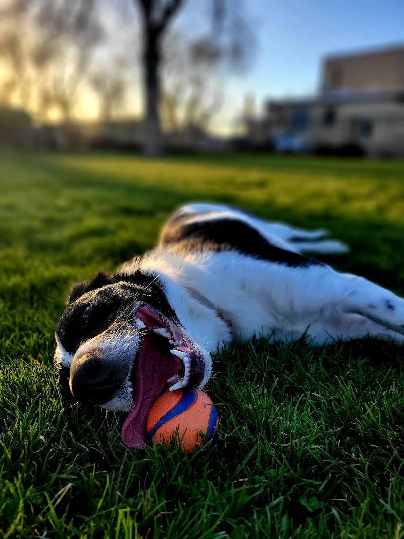 Kilowatt Park photo 3