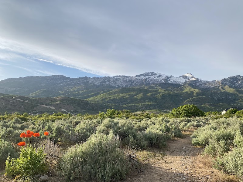 Lambert Park photo 2