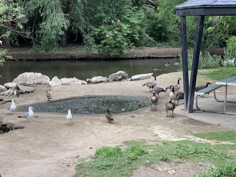 Layton Commons Park Duck Pond photo 2