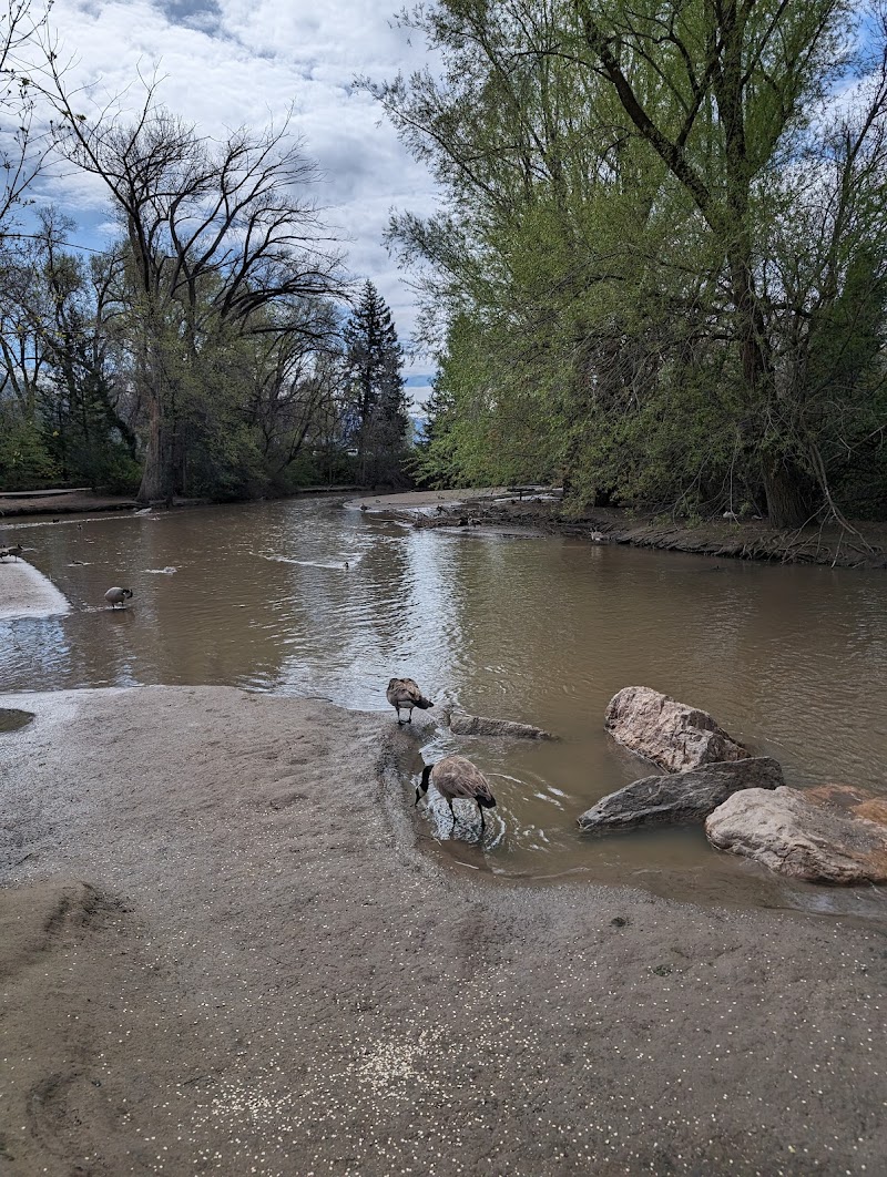 Layton Commons Park Duck Pond photo 3
