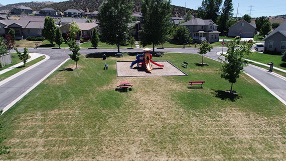 Liberty Farms Park photo 2