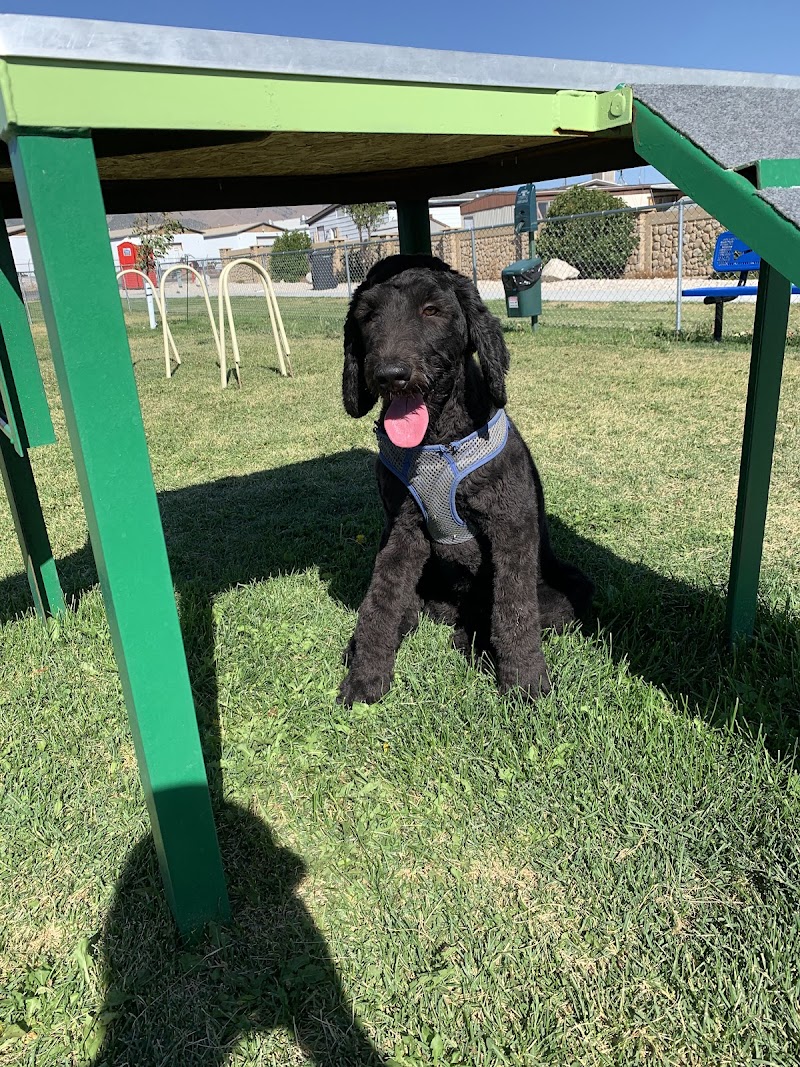 Lincoln Park Community Canine Area photo 3