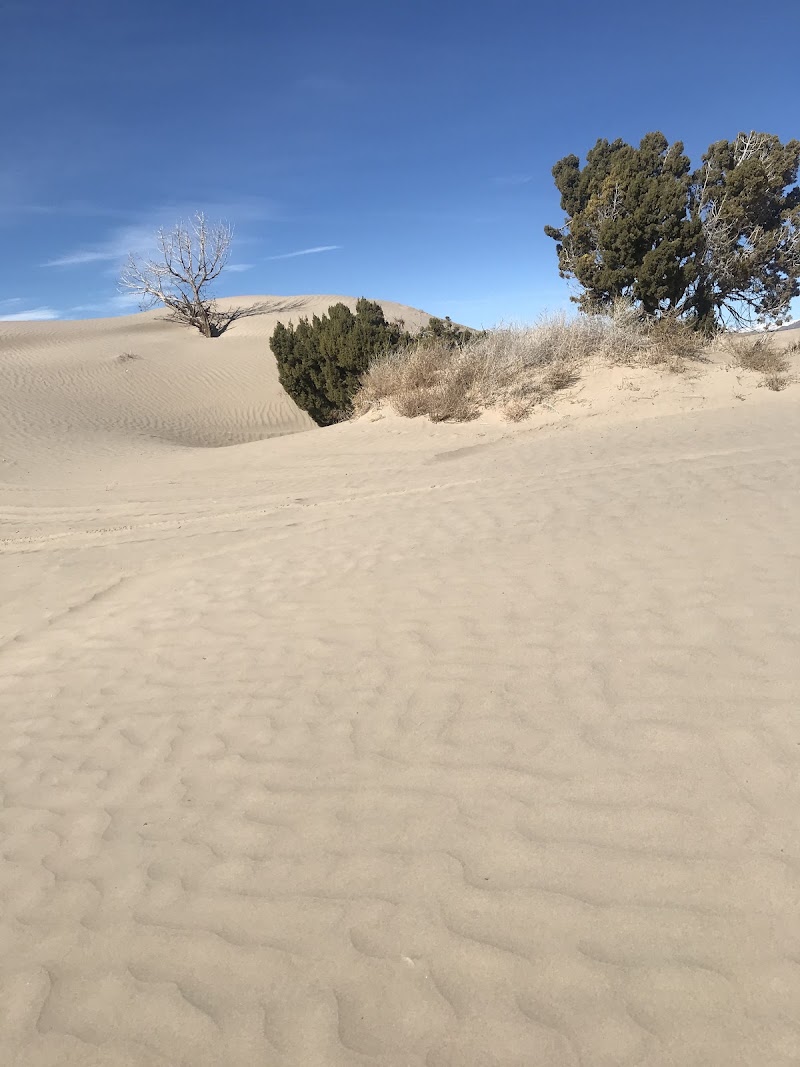 Little Sahara Recreation Area photo 2