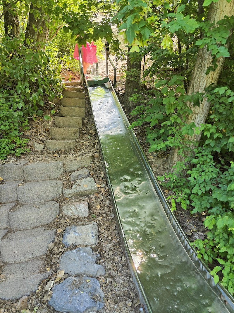 Lower Lion's Park photo 2