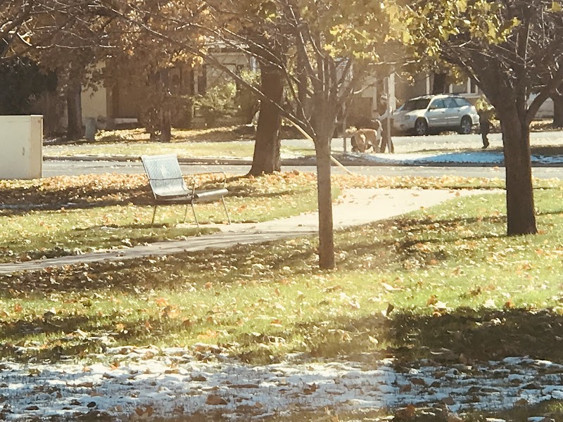 Lynn and Merle Olsen Park photo 2