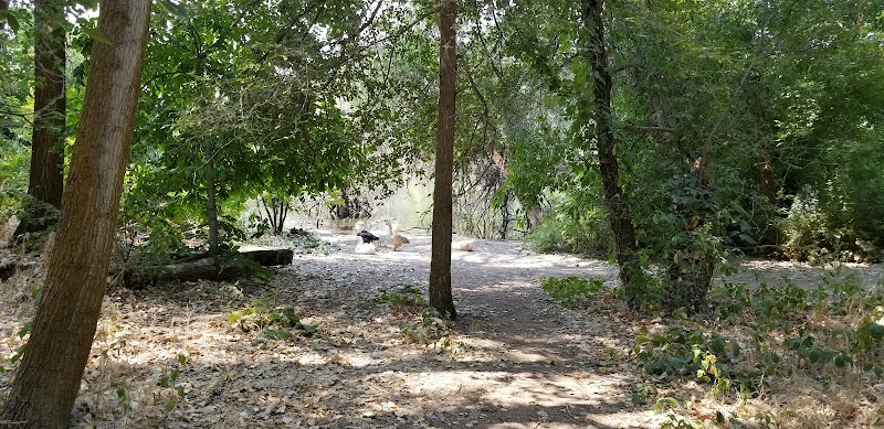 Madison Park photo 3