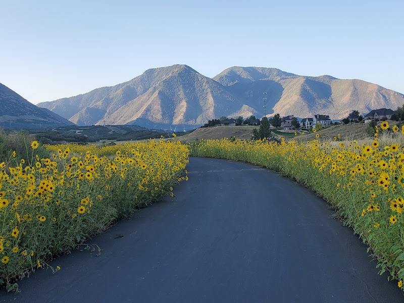 Mapleton Walking Path