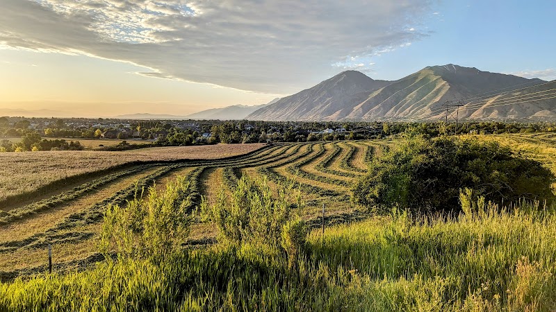 Mapleton Walking Path photo 2