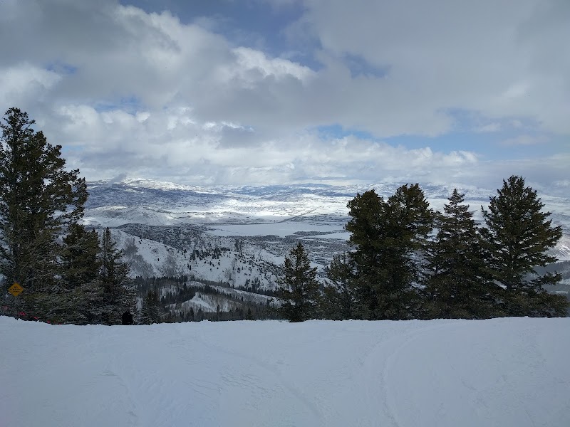 Matt Knoop Memorial Park photo 3