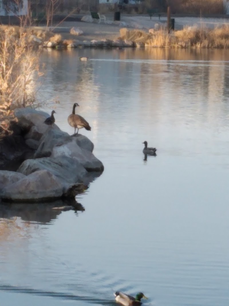 Meadow Creek Village Park
