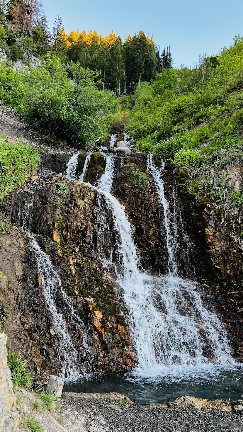 Millville Face Wildlife Management Area