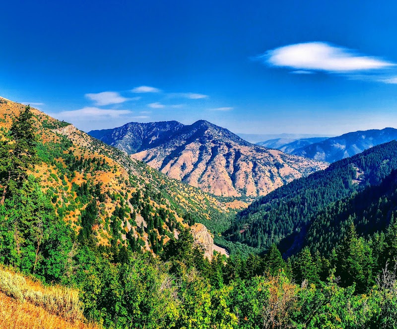 Millville Face Wildlife Management Area photo 2