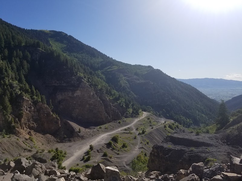 Millville Face Wildlife Management Area photo 3