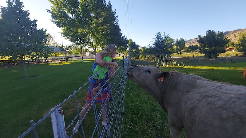 Millville Splash Pad photo 3