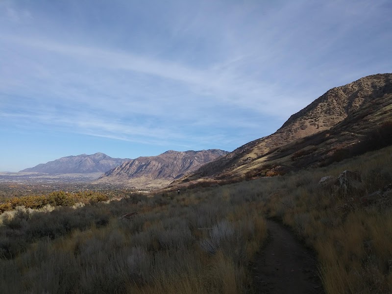 Mount Ogden Park photo 3