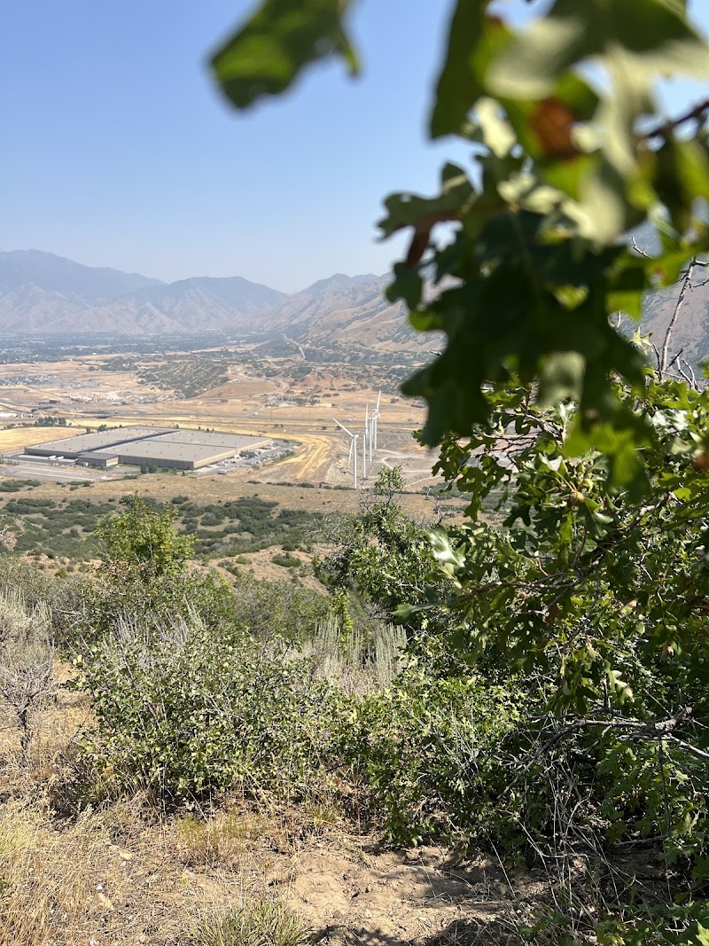Mountain Country Pavilion