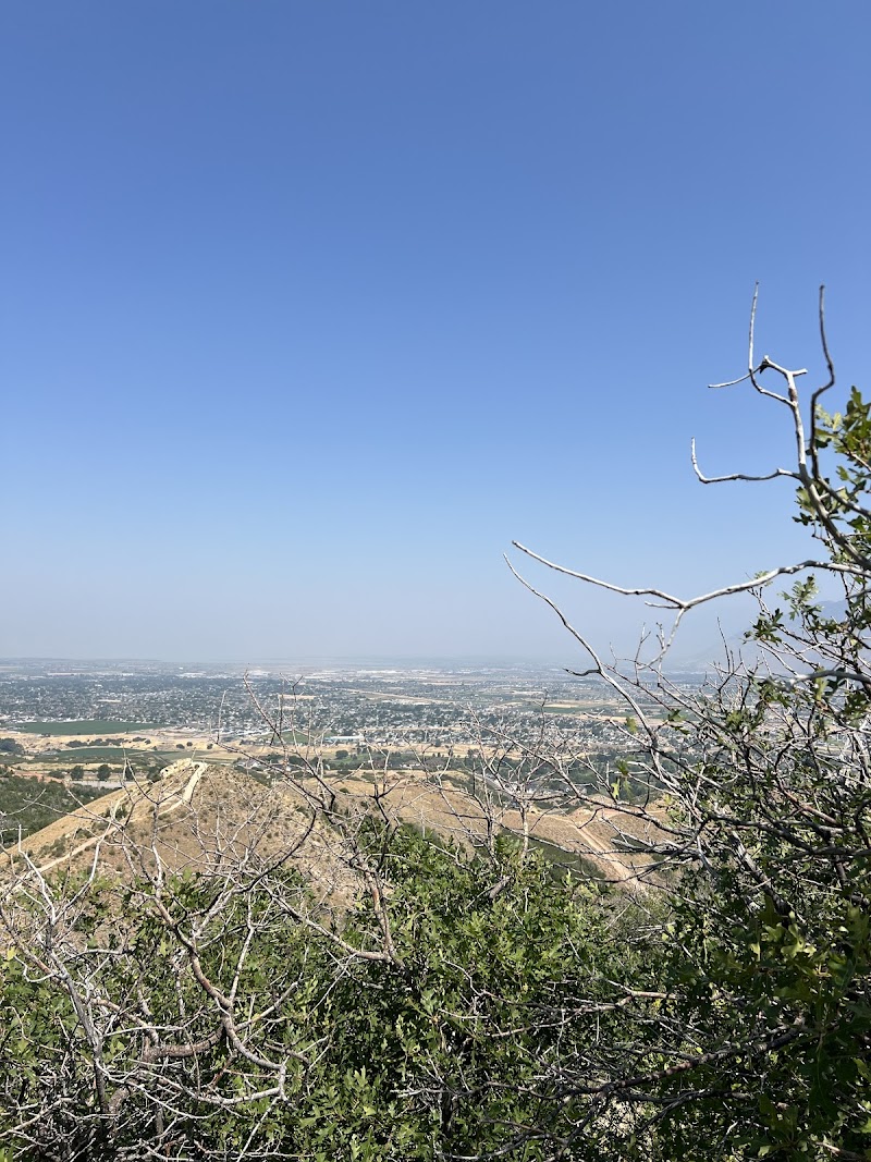 Mountain Country Pavilion photo 2