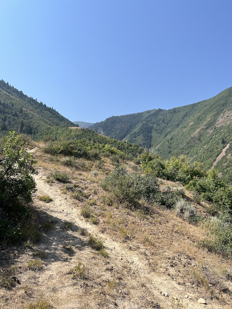 Mountain Country Pavilion photo 3