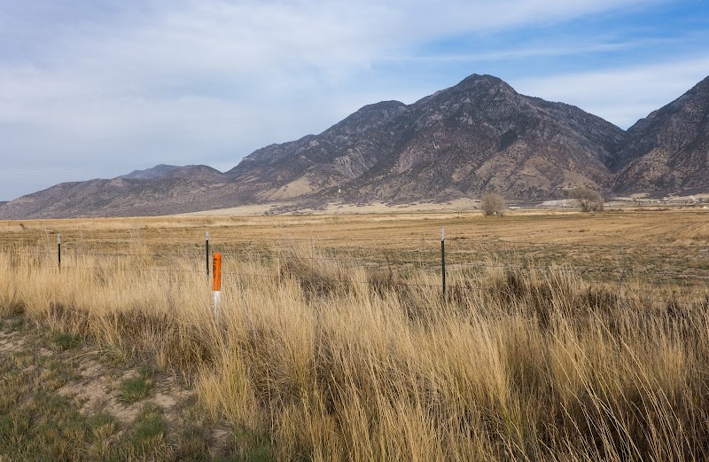 Mt. Nebo Pioneer Park photo 2