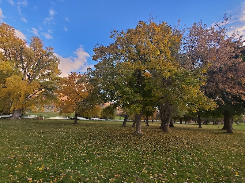 Mt. Ogden Park-East Field (#4080) photo 2