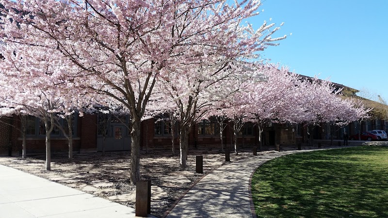 Mt Pleasant City Park photo 2