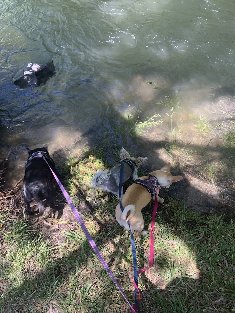 Murray Park Gazebo photo 3