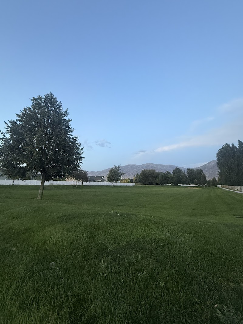 Nibley Gardens photo 2