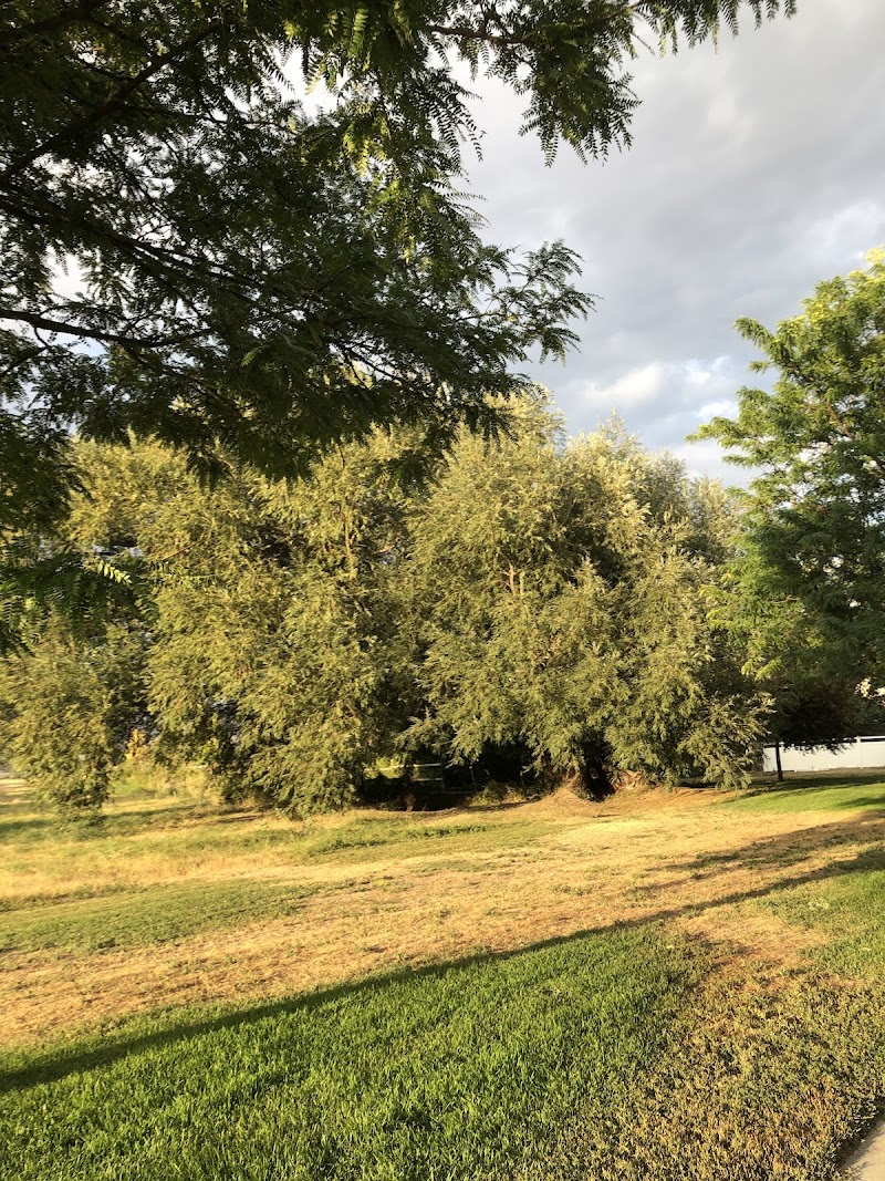 Nibley Gardens photo 3