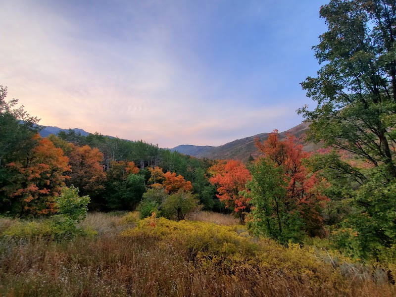North Fork Park photo 2