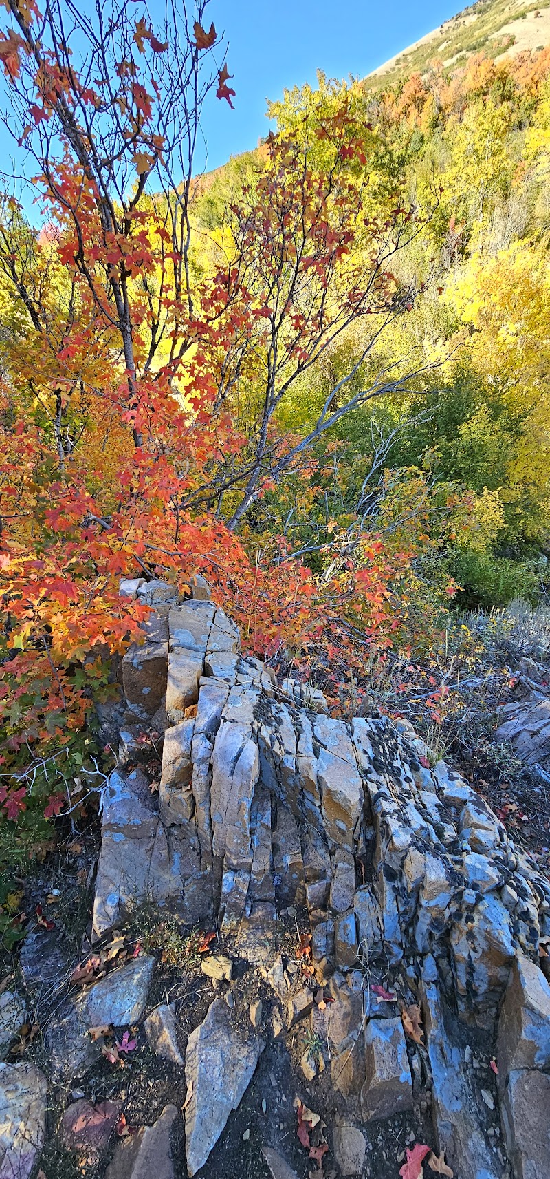 North Fork Park photo 3