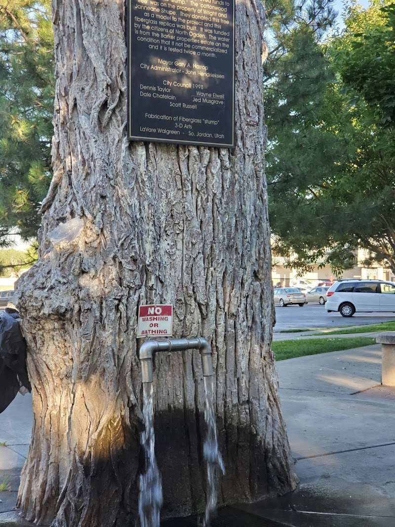 North Ogden Public Spring photo 2