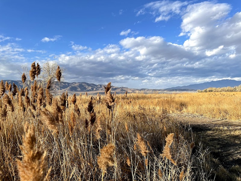 Northlake Park photo 2