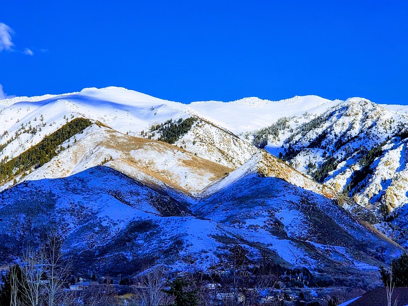 Oak Forest Park photo 2