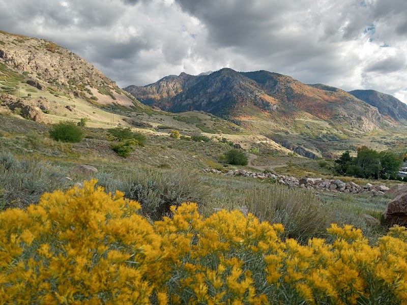 Ogden Bike Park photo 2