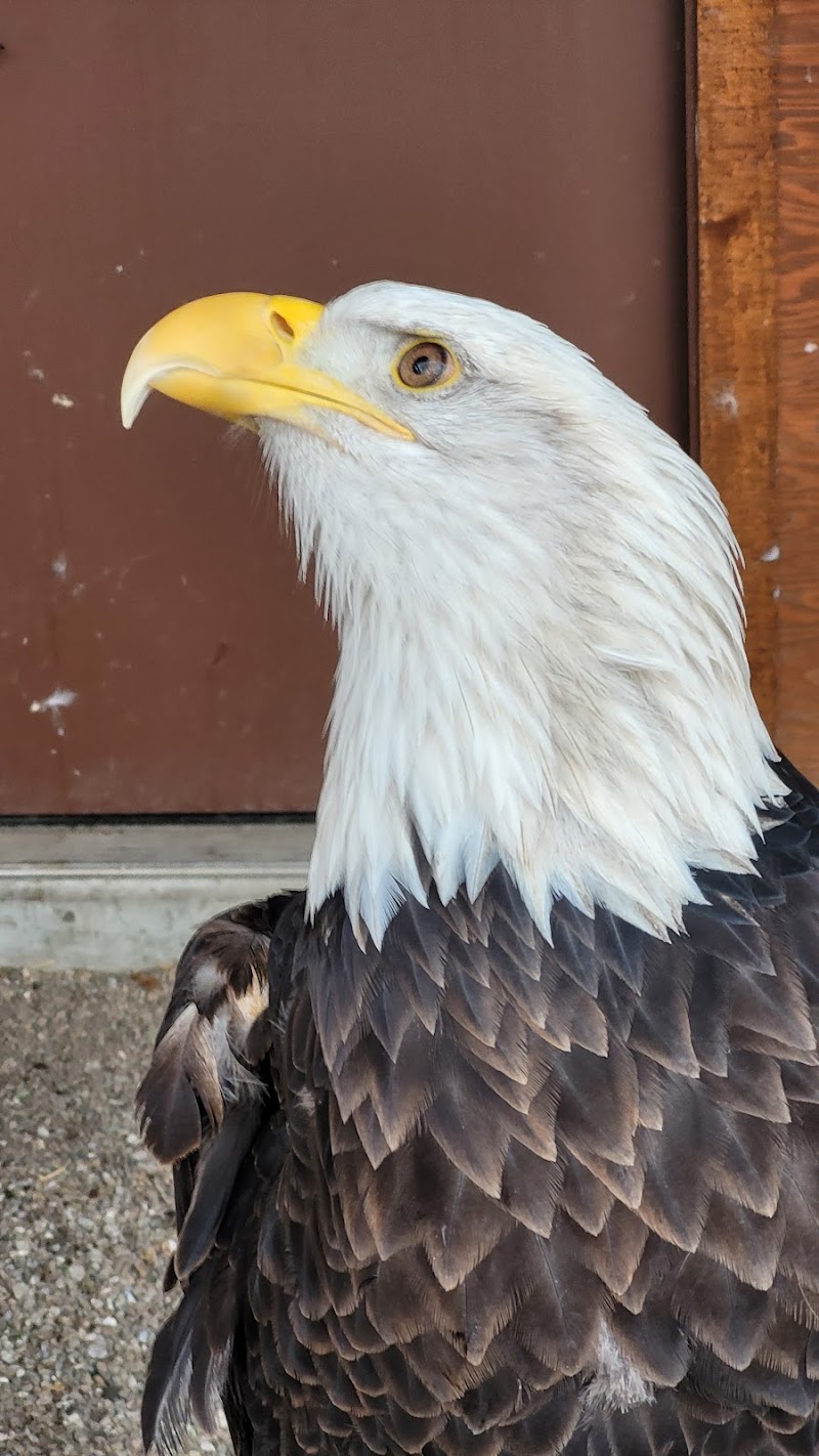 Ogden Nature Center photo 3