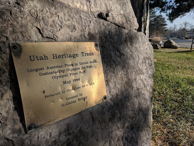 Olympus 8 Park photo 2