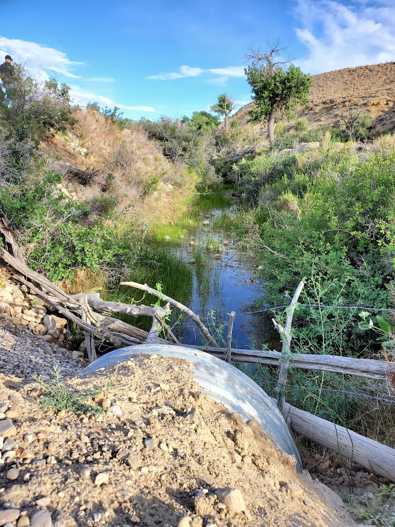 Orangeville City Park photo 2