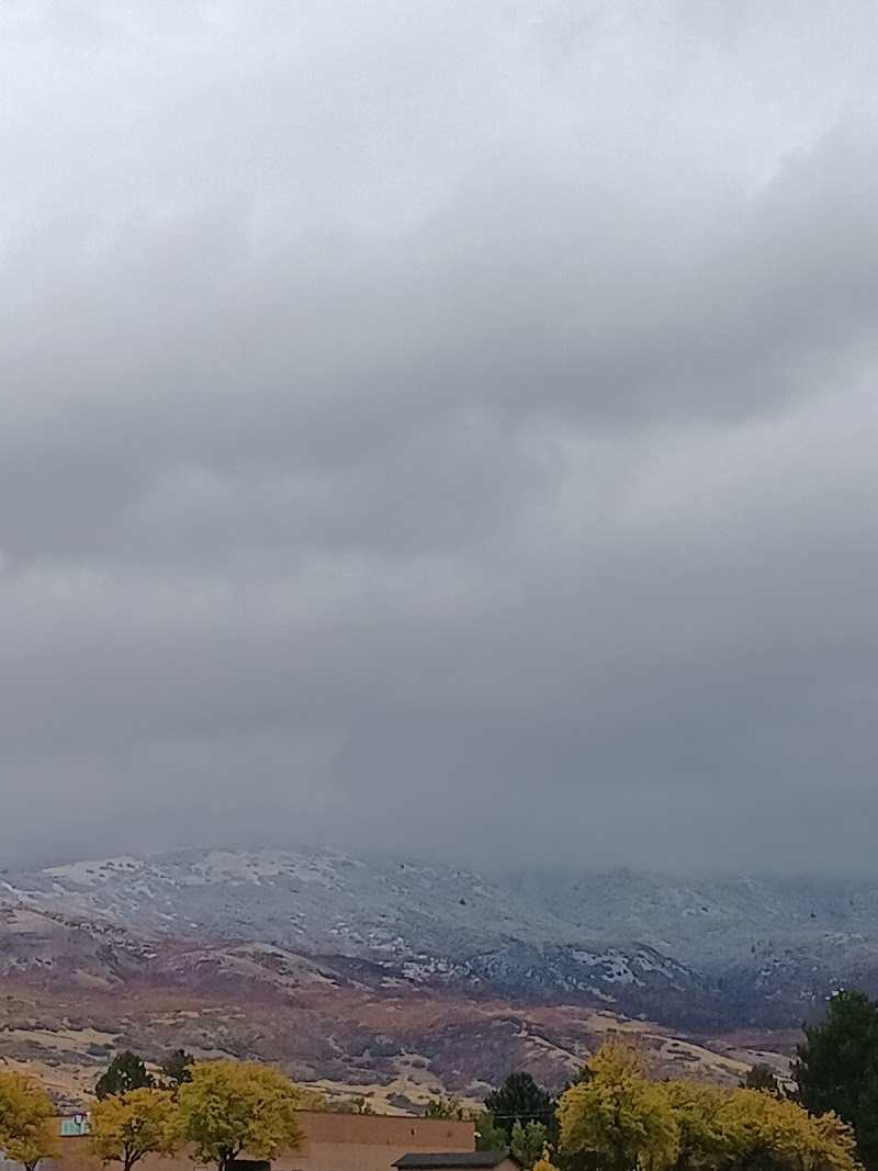 Orchard Park photo 3