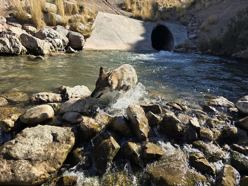 Parleys Historic Nature Park photo 2