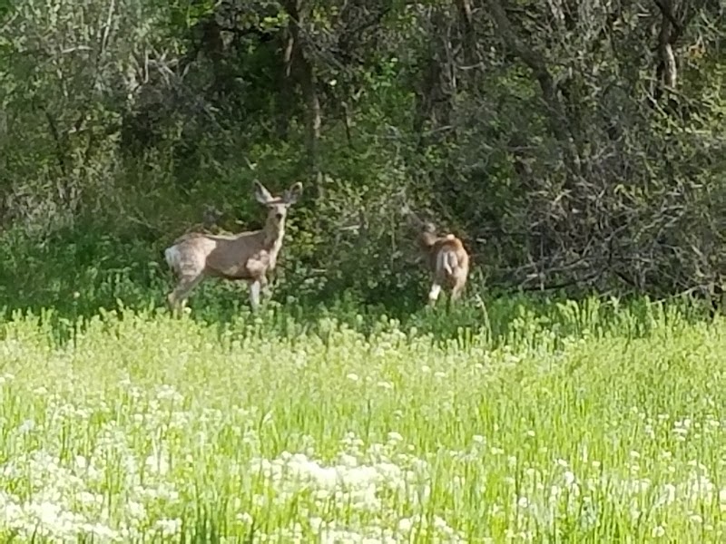Payson City Bike Path photo 2